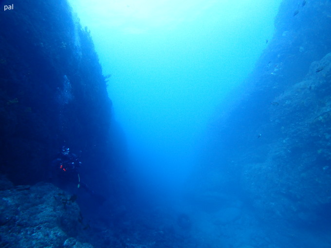 20190206_nishikawana_pal_04.jpg