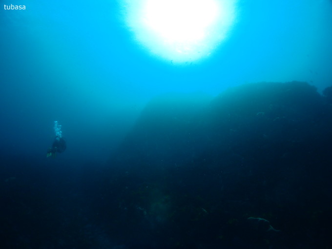 20190206_nishikawana_tukasa_01.jpg