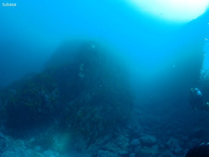20190206_nishikawana_tukasa_03.jpg
