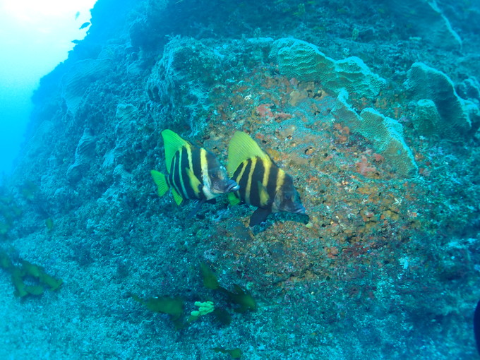 20190206_nishikawana_tukasa_05.jpg
