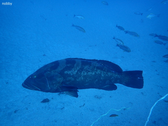 20190126_ito_ishikawa_01.jpg