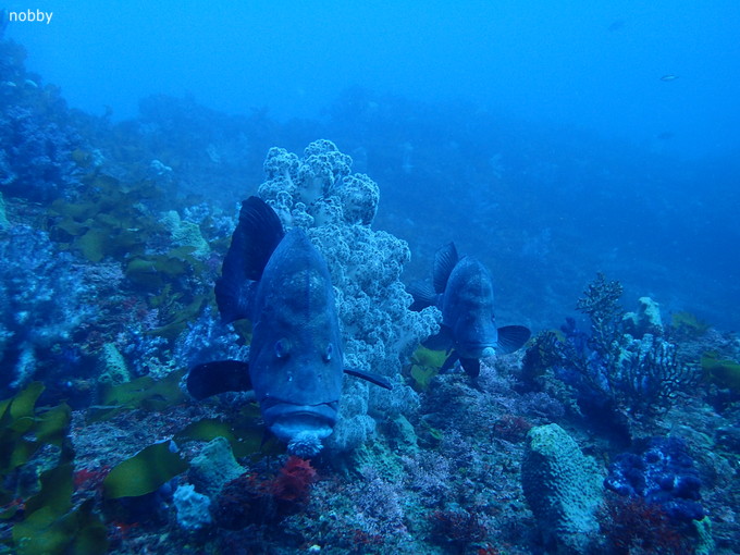 20190126_ito_ishikawa_05.jpg