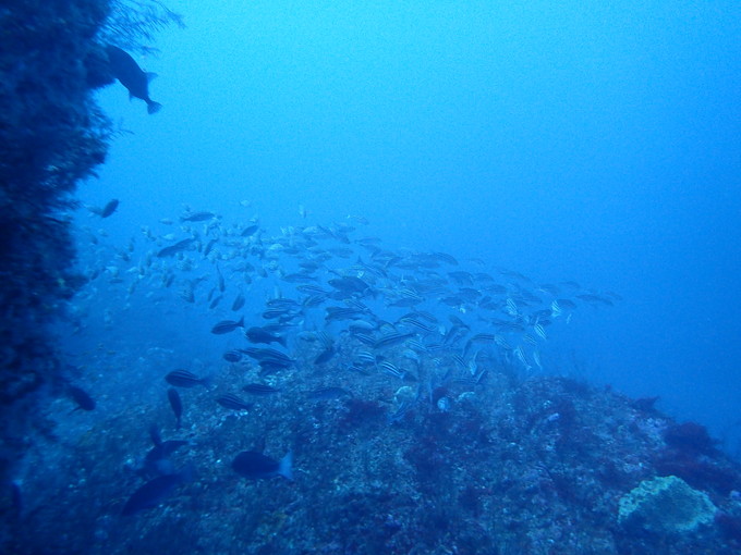 P1140024.jpg