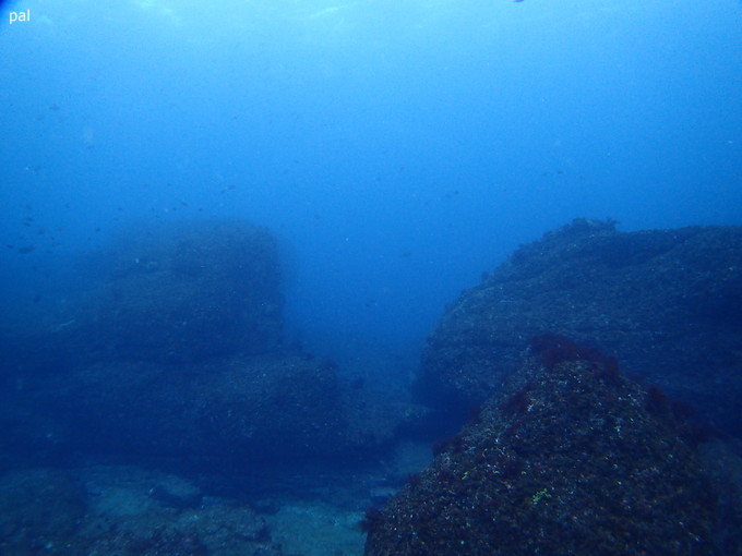 20190112_nammegawa_pal_10.jpg