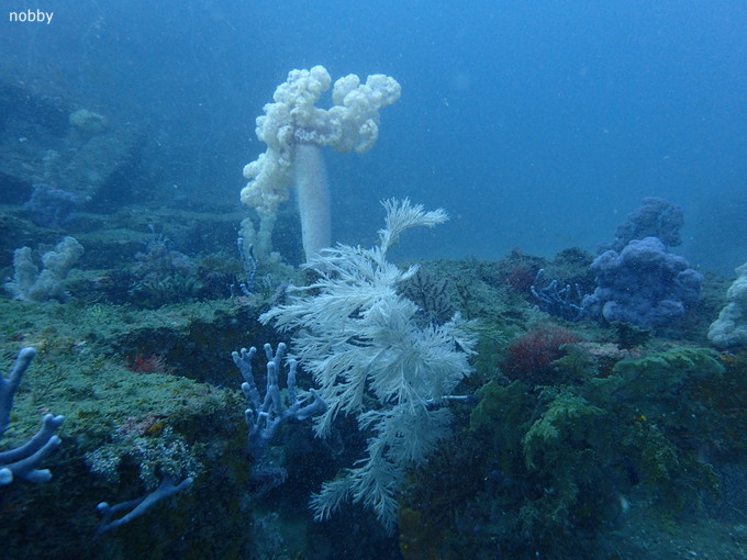 20190407_katuyama_ishikawa_01.jpg