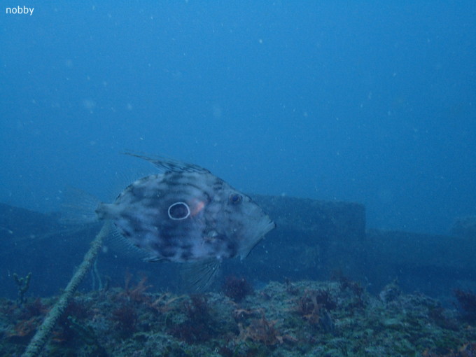 20190407_katuyama_ishikawa_03.jpg