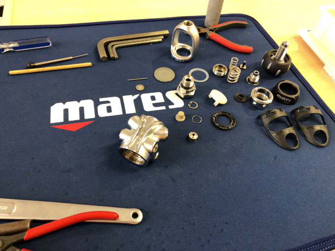 20190409_mares_01.JPG