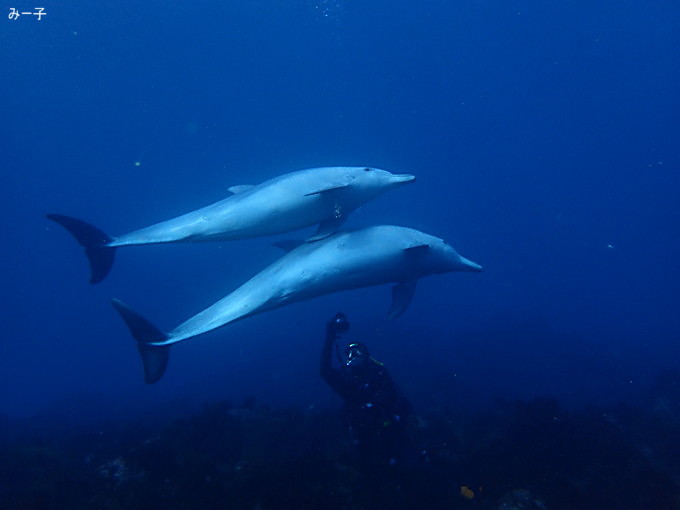 20200103_hatushima_010.jpg
