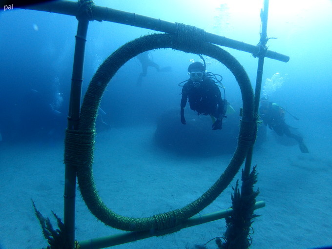 20200103_hatushima_018.jpg