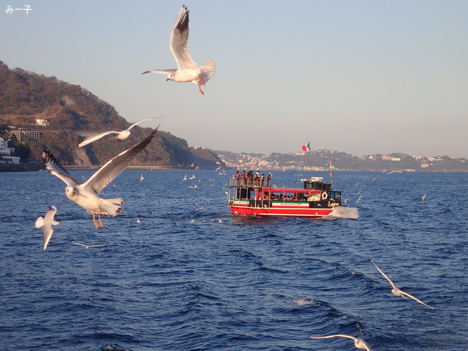 20200103_hatushima_026.jpg