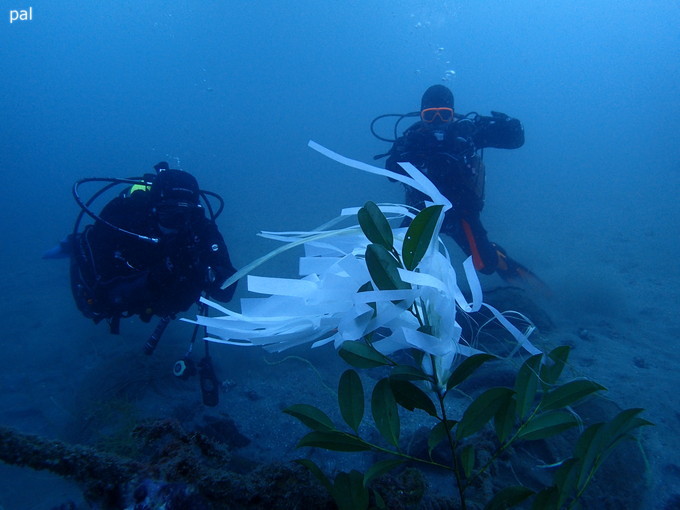 202000111_katuyama_08.jpg