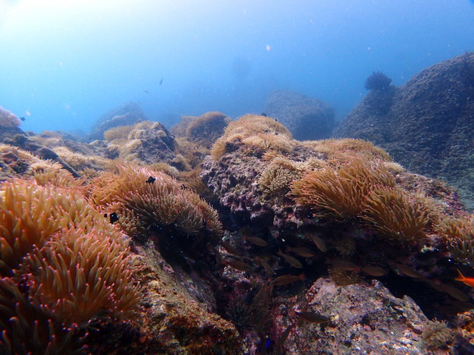 202000111_katuyama_09.jpg