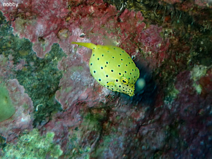 202000111_katuyama_14.jpg