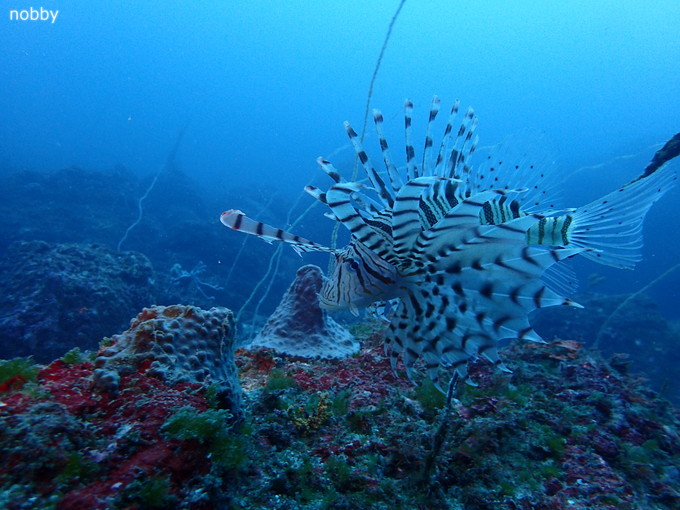 202000111_katuyama_16.jpg