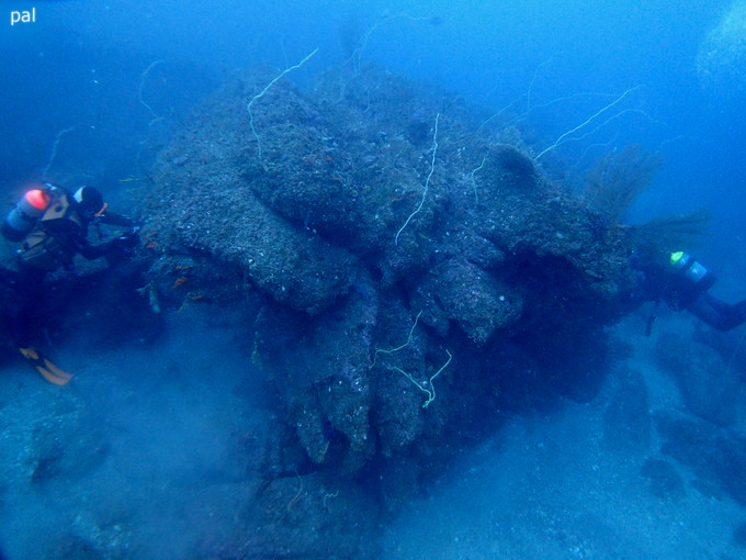 202000111_katuyama_21.jpg
