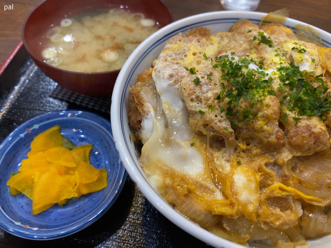 カツ丼（こだま食堂）｜勝浦｜2024/02/10