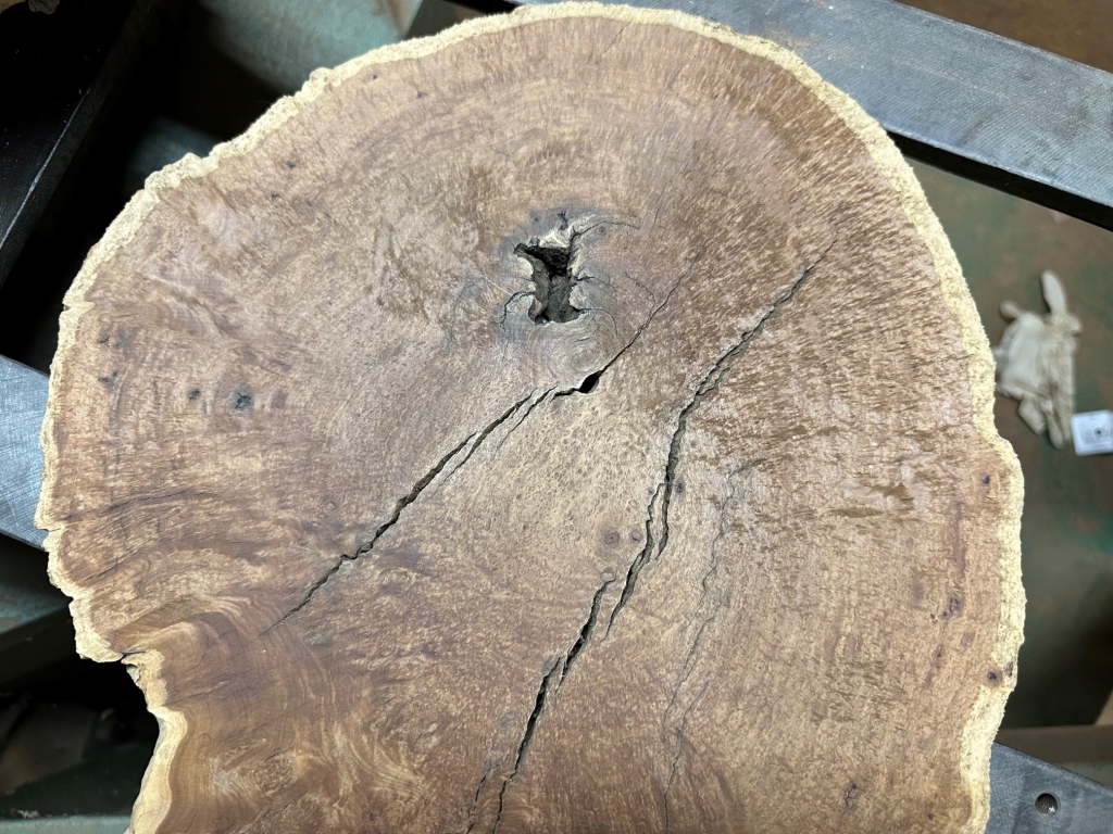 こぶた工房　ユーカリマリーゴールドフィールドバール　レッドマリー 12 ユーカリマリーゴールドフィールドバール レッドマリー