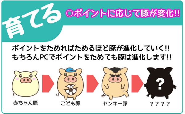 ポイントボックス