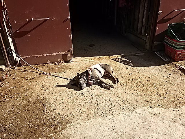 DSC_0197.JPG
