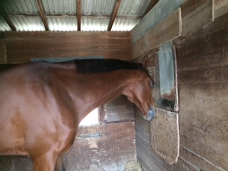 image1.jpeg