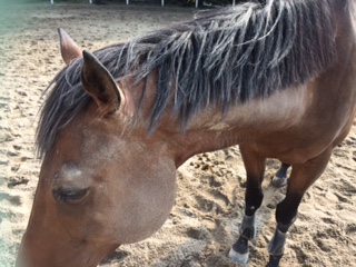 image1.jpeg