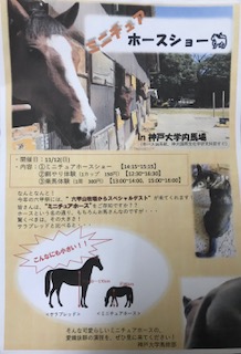 image1.jpeg