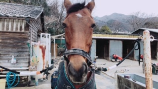 image1.jpeg