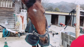 image1.jpeg