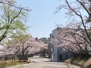 image1.jpeg