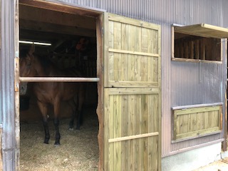 image1.jpeg