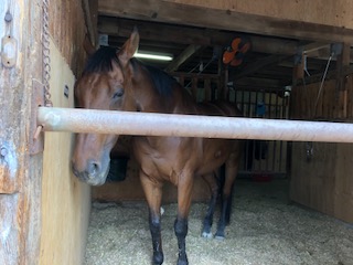 image1.jpeg