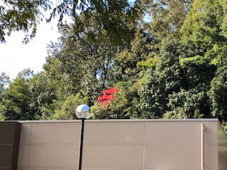 image1.jpeg
