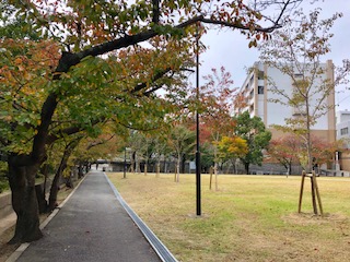 image1.jpeg