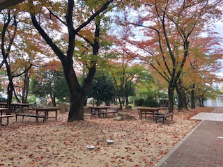 image1.jpeg