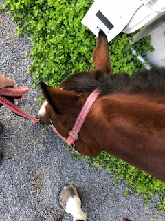 image1.jpeg