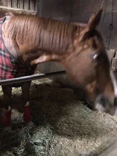 image1.jpeg