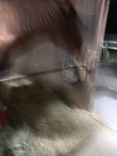 image1.jpeg
