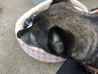 image1.jpeg