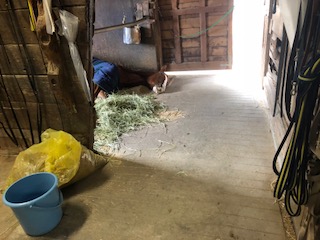 image1.jpeg