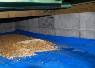 ミニログを建てよう
