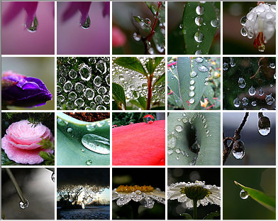 waterdrops