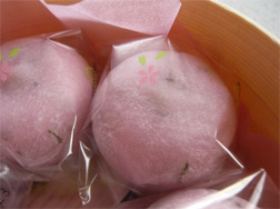 仙台 おいしい 和菓子