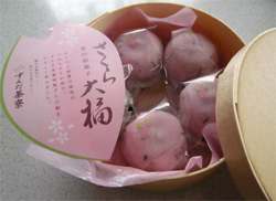 仙台 美味しい 和菓子