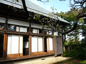 八王子 蕎麦 車屋