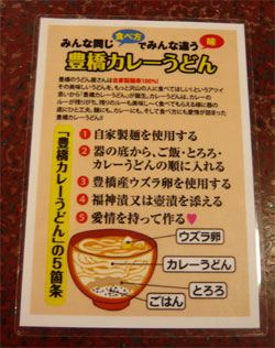 豊橋カレーうどんとは?
