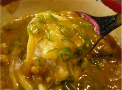 豊橋カレーうどん ごはんの部