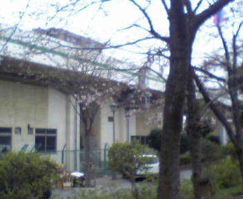 しょうぶ沼公園