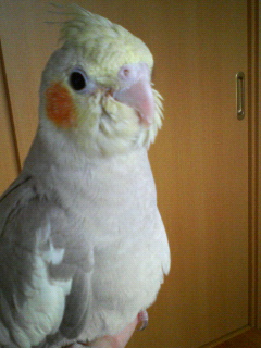 20061208_216075.jpg