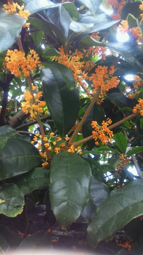 201110021250000.jpg