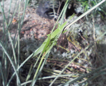 20060902_213510.jpg